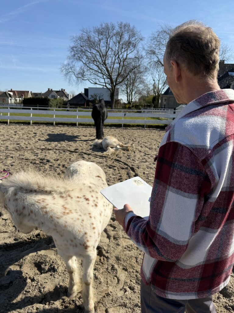 Soms begint loslaten met iets heel kleins
